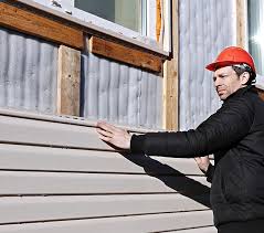 Best Historical Building Siding Restoration  in East St Louis, IL